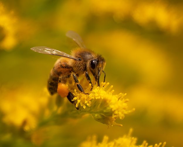 image-de-marque-region-de-montreal